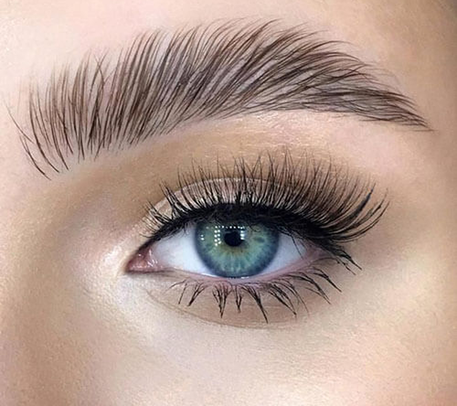 גבות וריסים